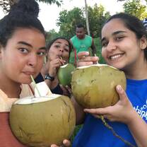 Huge coconuts by the river