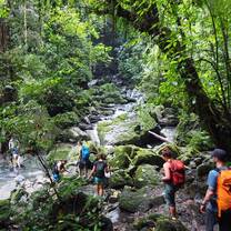 Exploring the Amazon