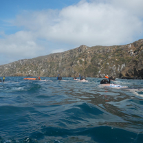 Volunteers enjoying some free time by going snorkeling!
