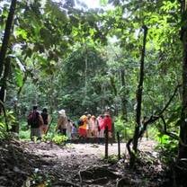 Amazon Rainforest