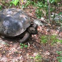 Galapagos Islands