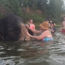 I cried tears of joy - just being near this gentle giant.