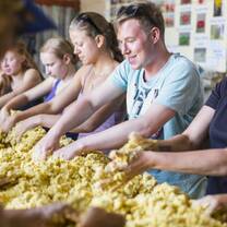 Group of volunteers preparing food for the resident animals