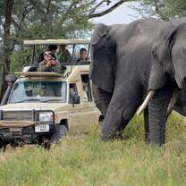 Game Drive in Lake Manyara National Park during your gap year