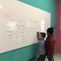 Learning the alphabet in English