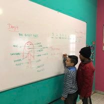 Learning the alphabet in English