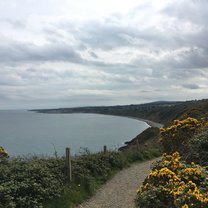Bray to Graystones cliff walk
