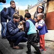 Volunteers and children play with baby dogs rescued on the streets