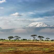 Bold Earth Kilimanjaro