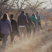 Internships in South Africa