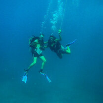 GVI: Marine Conservation Volunteering