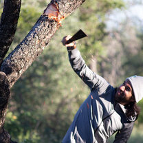 Conservation internship