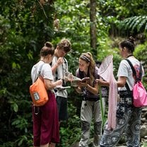 GVI: Volunteer in Thailand