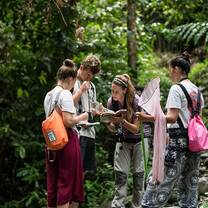 GVI: Volunteer in Thailand