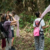 GVI: Internships in Thailand
