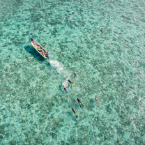 GVI: Marine Conservation Volunteering