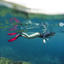 GVI: Marine Conservation Volunteering