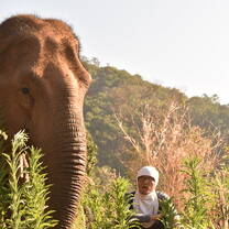 GVI: Internships in Thailand