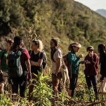 GVI: Volunteer in Thailand
