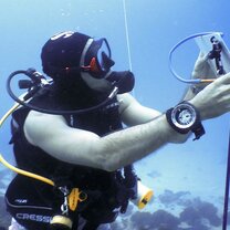 GVI: Marine Conservation Volunteering