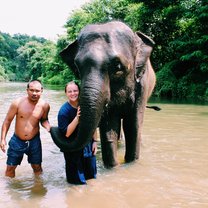 Thailand Elephant Experience visiting the Elephant Carer Home with mahout, P'Sab.