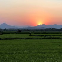 Tak, Thailand rice paddies just on the other side of the river that flows through town