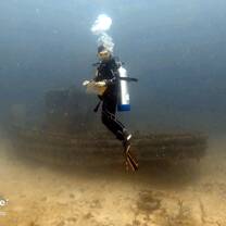 Wrecks, there’s an octopus living there 
