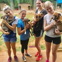 this is the group that volunteered at the animal house jamaica rescue. This litter is up for adoption 