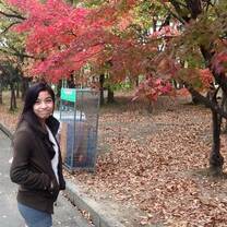 Fall Leaves Outside Osaka Castle