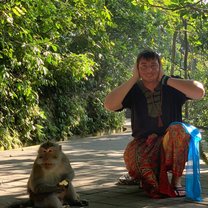 Monkey forest 