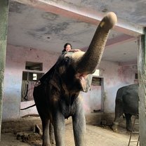 Feeding Rupa 