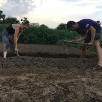 Tilling the field to get it ready for plantation