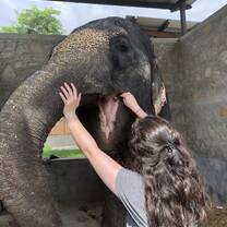 Feeding Rani 