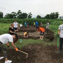 Tilling the field and weeding with other volunteers