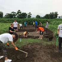 Tilling the field and weeding with other volunteers