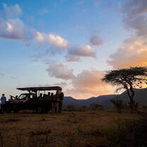The bush in Kenya with Culsans