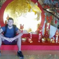 2017: the year of the rooster
