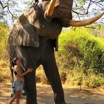 We went to an elephant sanctuary 