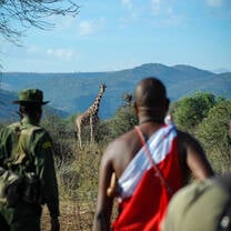 Data collection bush walk with the maasai of Il Ngwesi Conservancy