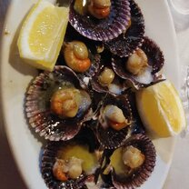 Zamburinas Zamburinas at La Cantina