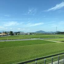 Bullet Train