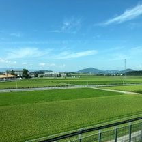Bullet Train
