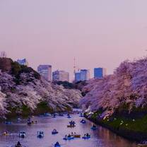 Boats on a canal with cherry blossoms in Japan