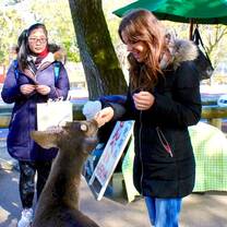 Canadian feeding a deer in Japan