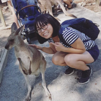 Stepabroad participant petting a kangaroo