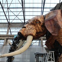 L'Éléphant de L'Île de Nantes