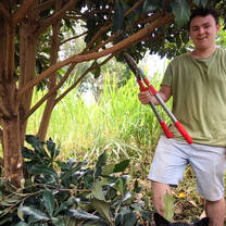A spot of pruning on Waitabit Farm in Kenya with Culsans