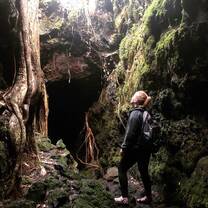 Rangitoto/Lava Caves