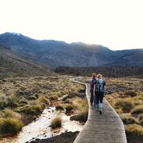 study abroad victoria university of wellington new zealand