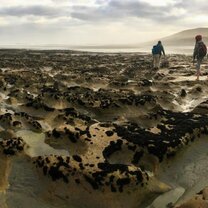 New Zealand New Zealand